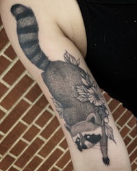 a raccoon tattoo on a woman's arm